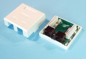 (AL) GNIAZDO UTP 2XRJ45 5e N/T GN002