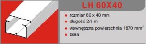 LISTWA LH 60x40 (2m/16m/384m)