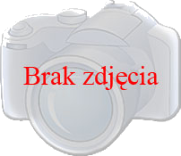 KOŃCÓWKA RURKOWA CZERWONY1/8 .OP 100SZT P51885